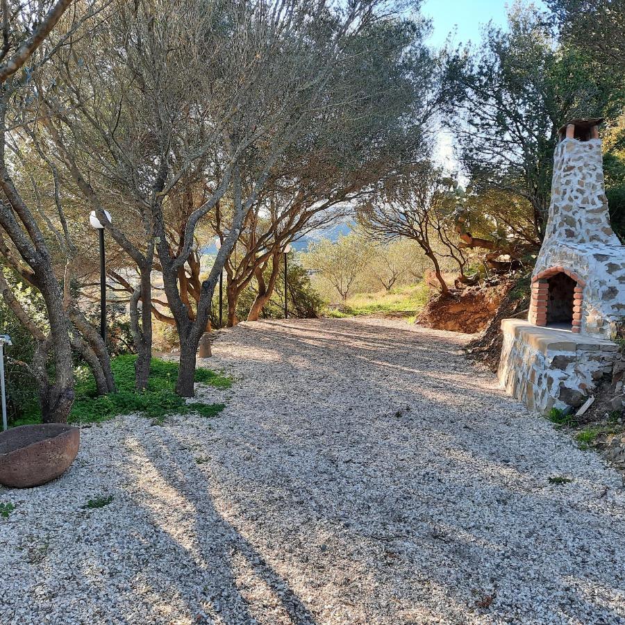Hotel Valle Del Cedrino Galtellì Extérieur photo